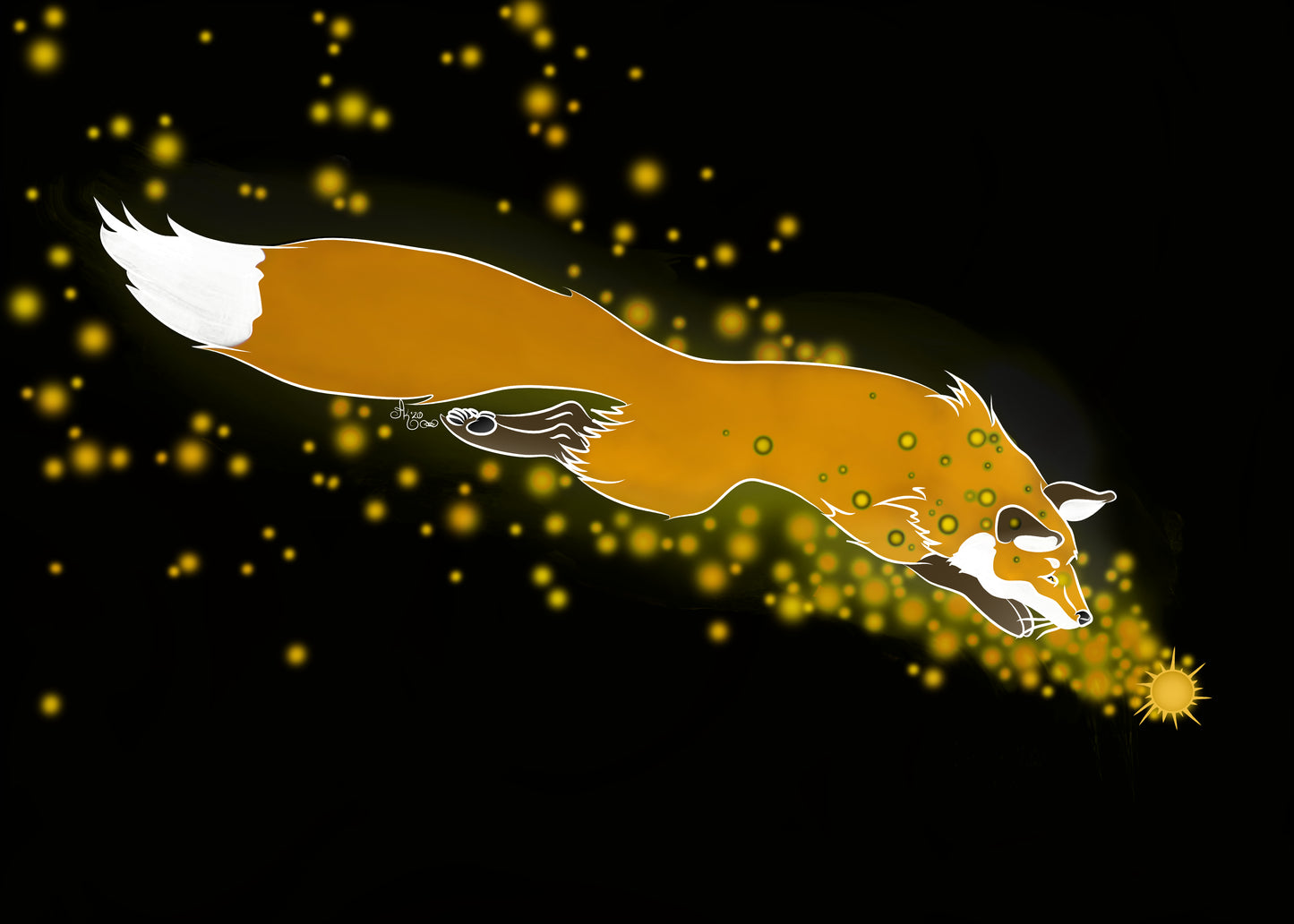 Pouches - Star-Chaser